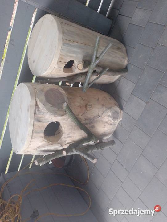 Budka lęgowa papug Wodzisław Śląski