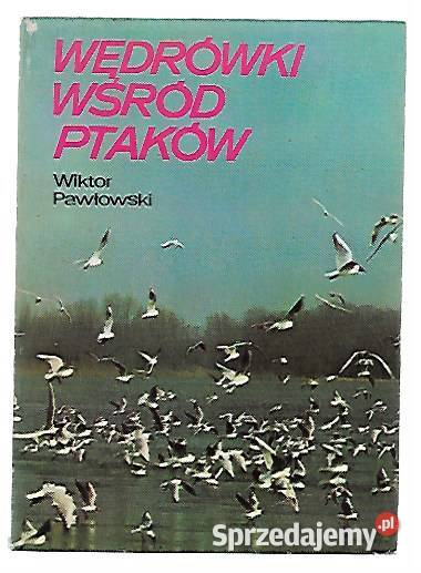 Wędrówki wśród ptaków W Pawłowski miękka