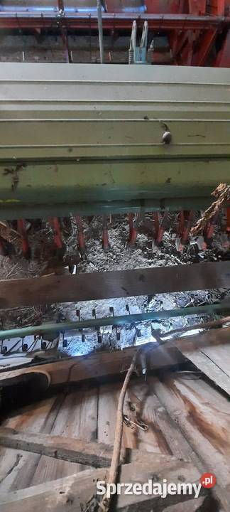 Siewnik zbożowy Hassia 25m Siewniki i sadzarki Tomaszów Lubelski