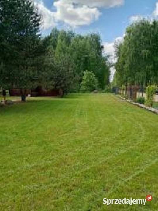 Działka z domkiem 301021m2 Zal Siemianówka Nowa Łuka
