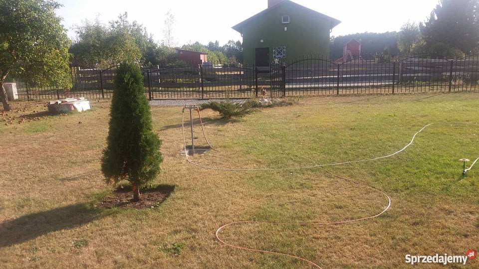 Działka rekreacyjna w Ochli z pięknym domkiem Zielona Góra
