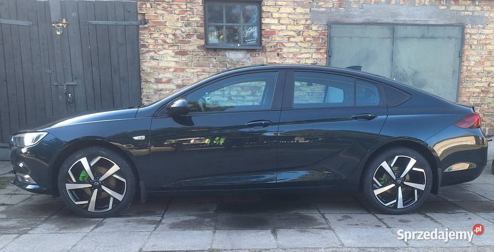 Opel insignia Płońsk