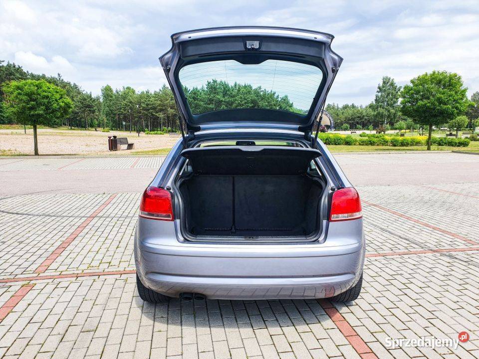 Audi A3 8P 19 TDI BKC Grabowo Kościerskie
