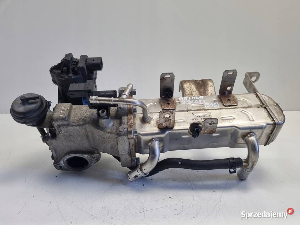 CHŁODNICA SPALIN egr Opel Antara 22 CDTI Rudka