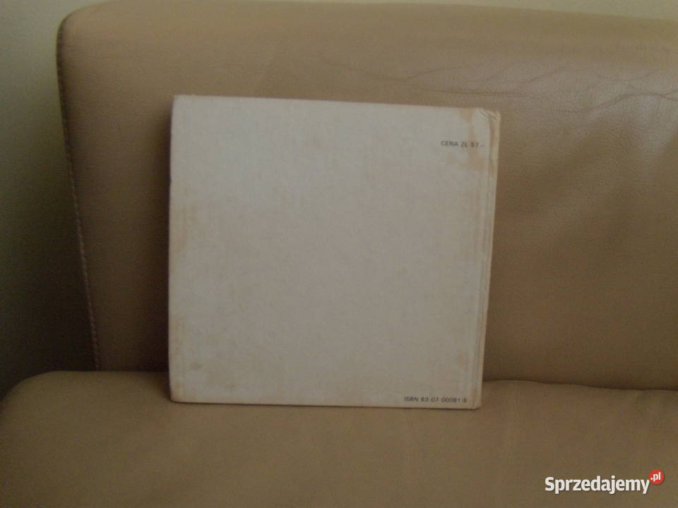 Aligator Jadwiga Ostapowicz Warszawa