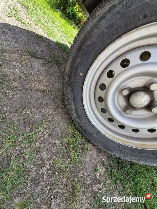 Przyczepka samochodowa Przyczepa Brenderup 750 lubuskie Zielona Góra