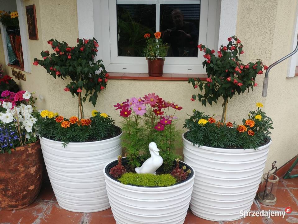 Donice komplet mrozoodporne piękne i praktyczne małopolskie