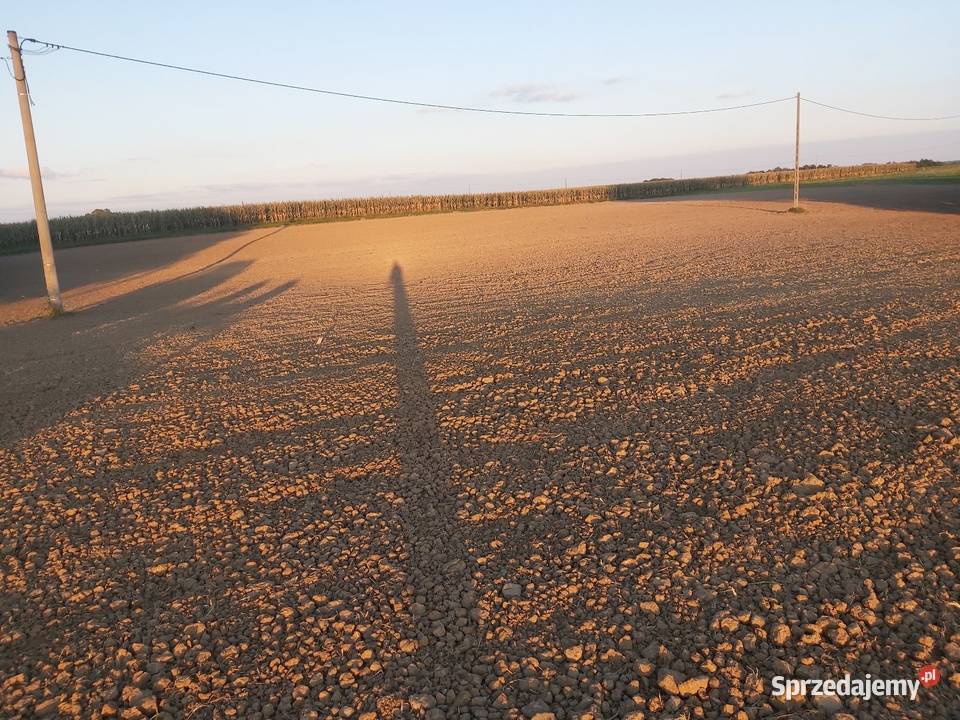 Wały uprawowe posiewne DalBo VIP Roller nieuszkodzony Jabłonowo Pomorskie