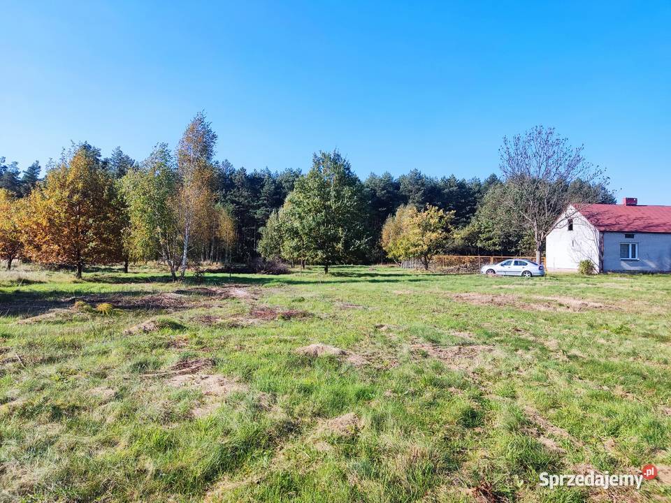 2 działki budowlane 2x 800 m2 Grębiszew Mińsk 100zł/m2