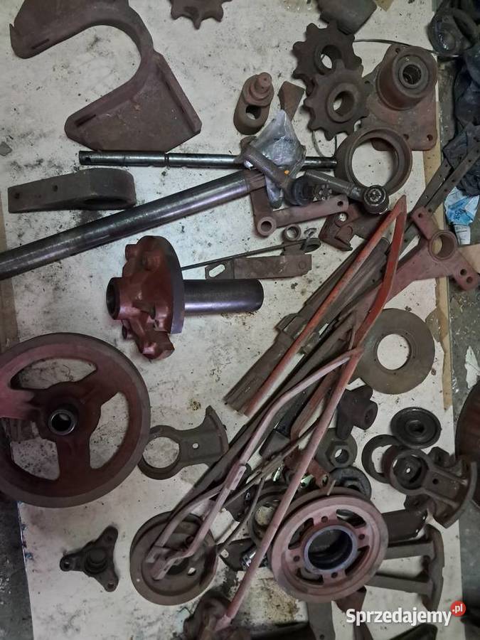 Bizon Zo56 Jasieniec sprzedam