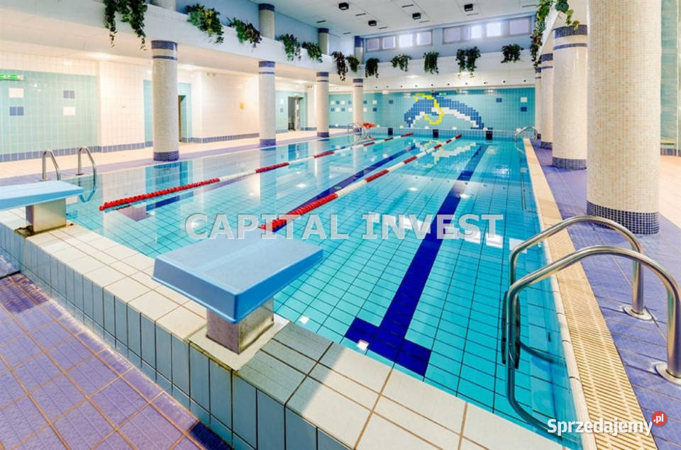 sprzedaży lokalu 19513m2 Serock sprzedam