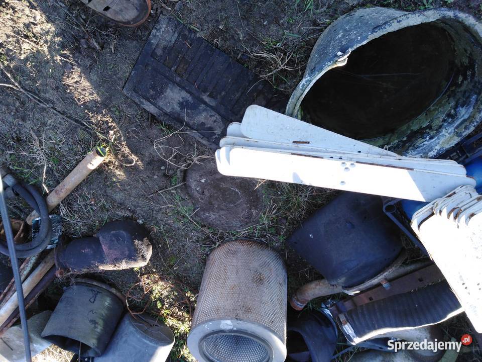 Płaskowniki Poddębice