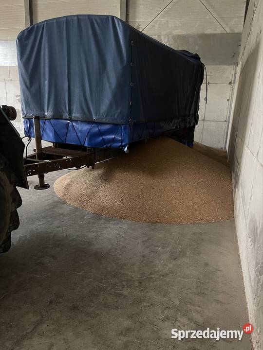 Przyczepę jednoosiowa z plandeką na bliźniaku Wieluń