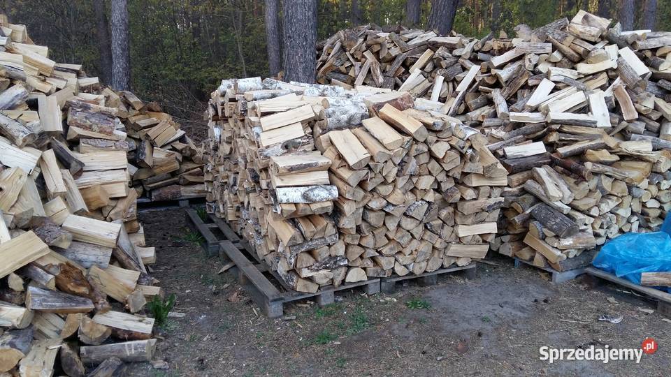 Drewno drzewo brzoza rąbane układane