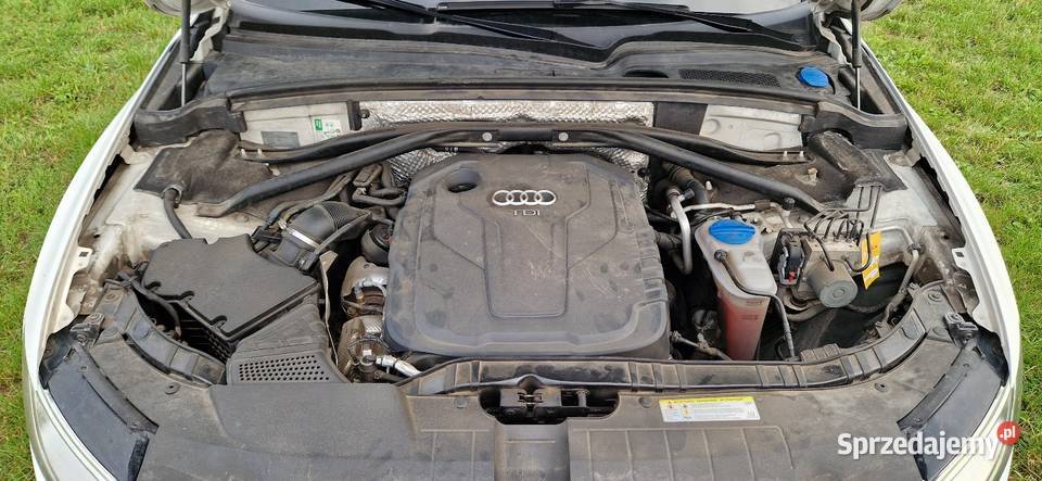 Audi q5 quattro Suchcice