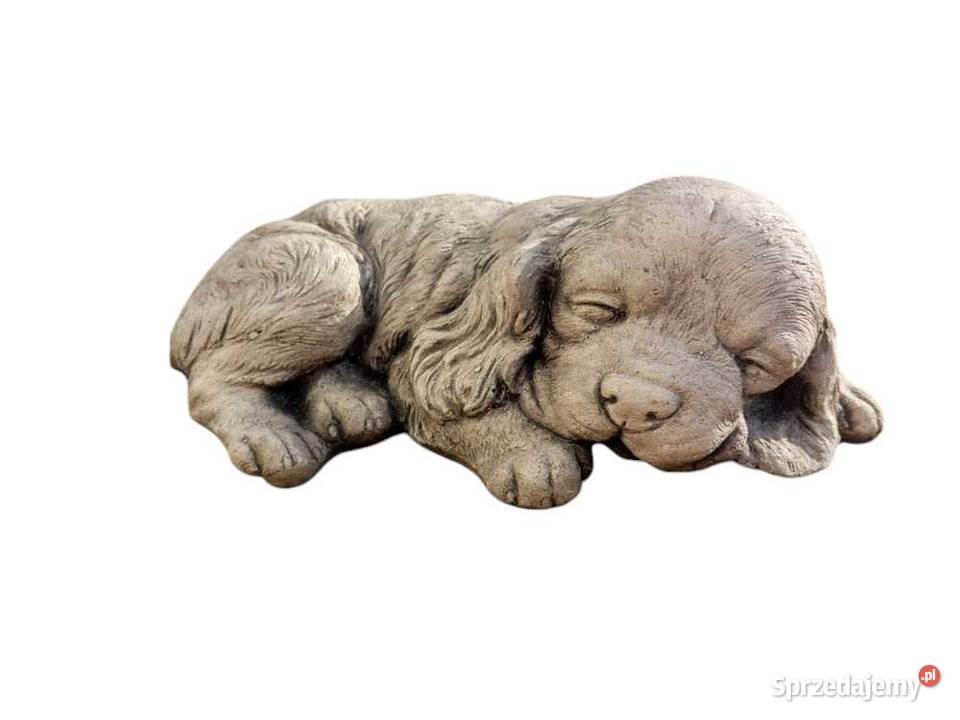 Figurka psa Cocker spaniel dolnośląskie Wrocław