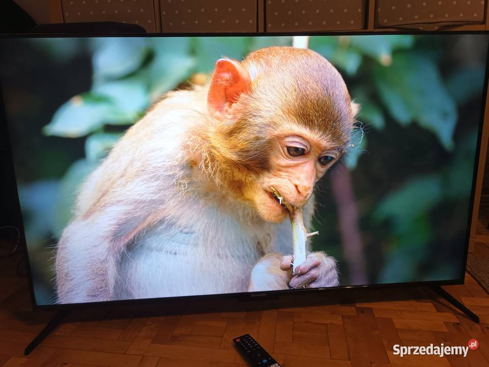 Telewizor Sharp 50DJ4E 50 LED 4K UHD Smart TV na LED Libiąż