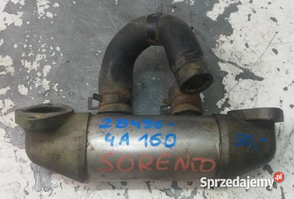 Chłodnica spalin Hyundai 284964A160 świętokrzyskie Suchedniów