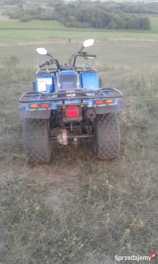 Yamaha timberwolf 250 benzyna Trzcianka