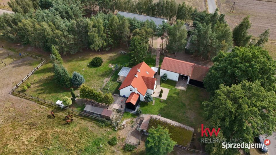 Lokal 550m2 Czarnybród wielkopolskie