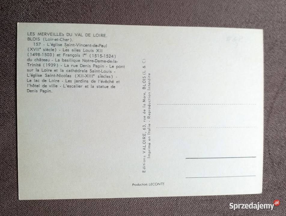 BLOIS MIASTO KRÓLEWSKIE LOARĄ M IN WIDOK NA Piszczac