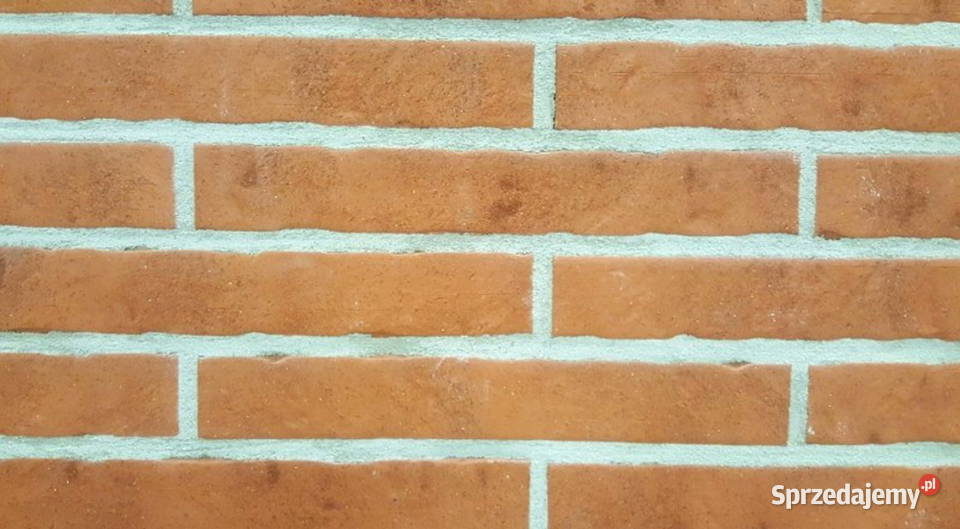 Płytka na ścianę długa postarzana ceramiczna wielkopolskie Baranowo sprzedam