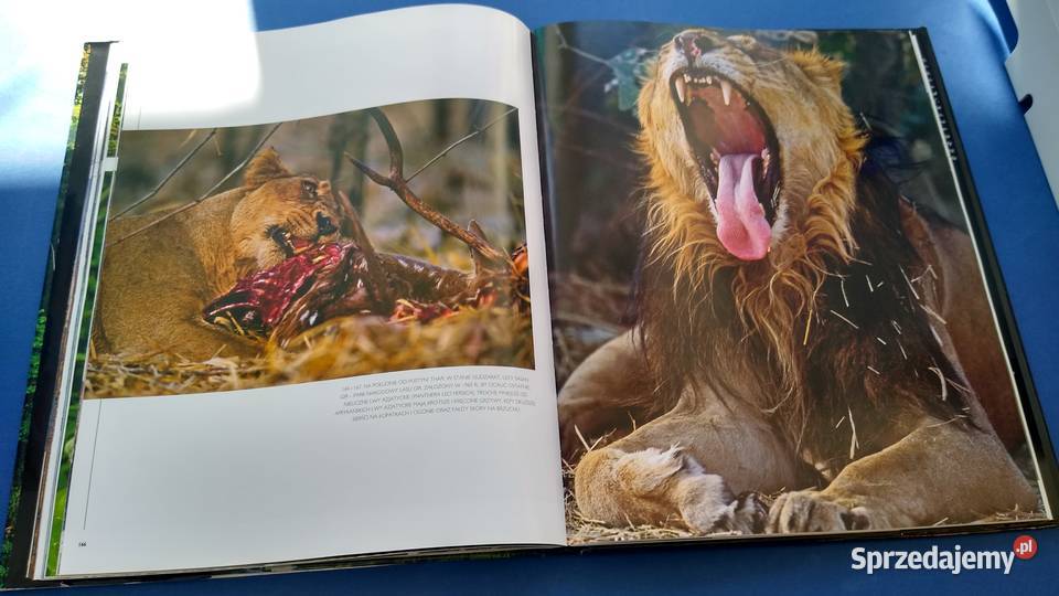 Cuda przyrody Azja Stefano Brambilla ARKADY 2009 Podręczniki Gdańsk