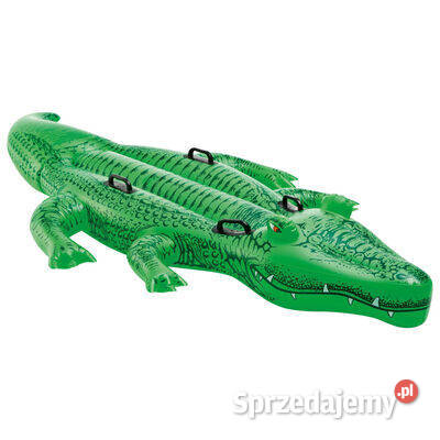 Intex Materac w kształcie aligatora Giant Gator mazowieckie Warszawa