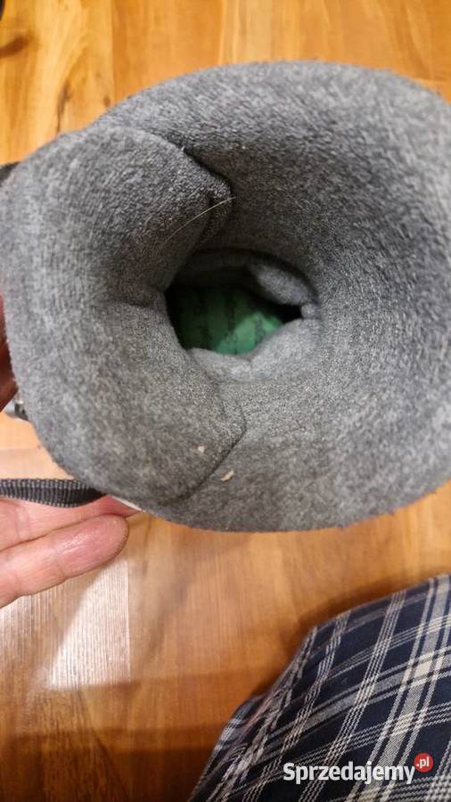 Buty narciarskie Salomon irony rozmiar 40 Gorzów Wielkopolski