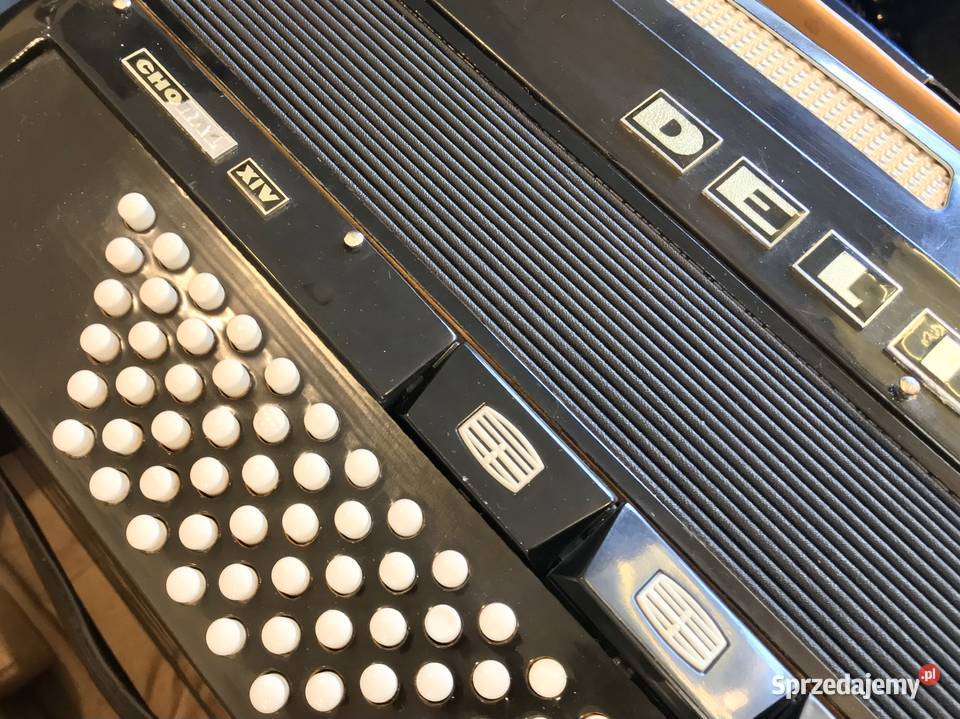 DELICIA Choral XIV AKORDEON 120 basów WALIZKA mazowieckie Warszawa