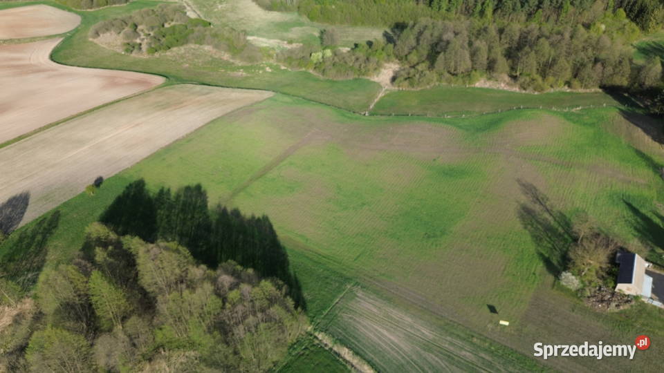 Działki z widokiem na las w Wymysłowie Wymysłowo