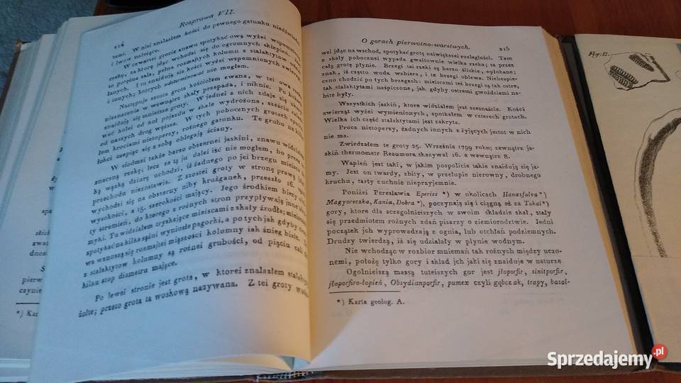 O ziemiorodztwie Karpatow i innych gor i rownin twarda pomorskie Gdańsk sprzedam