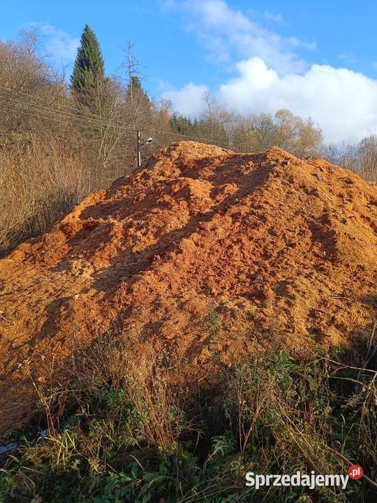 Sprzedam trociny wióry drzewne poprodukcyjne Dom i Ogród Procisne