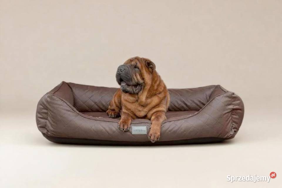 Asortyment do sklepu zoologicznego Kamyk