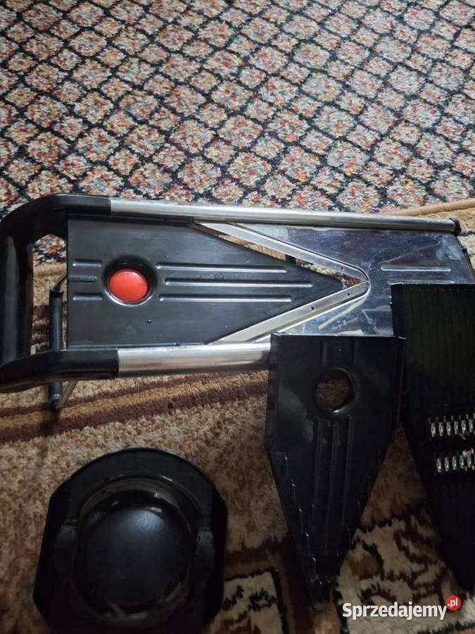 Szatkownica tarka Łódź