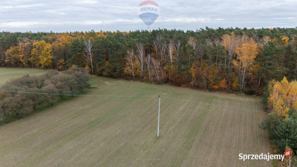 Działka pod lasem Załuski