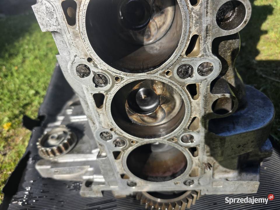 Blok Silnika Vw T5 25 TDI BNZ 070 103 021L małopolskie Skawina