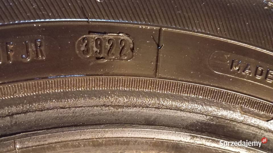 Opony zimowe Dębica Frigo 2 1756514