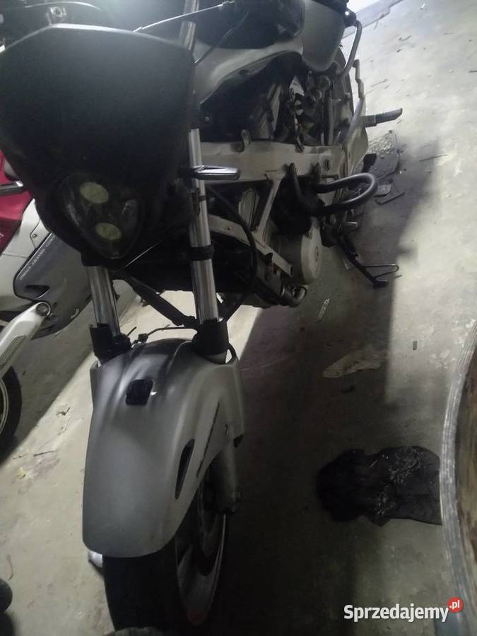 Honda developer 650 Łuków