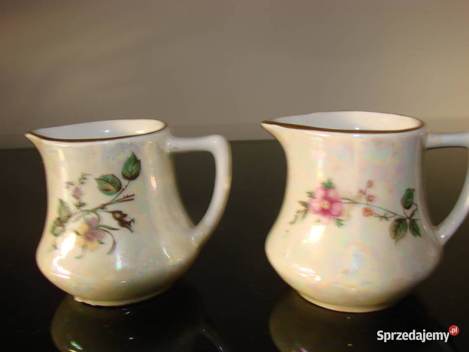 Lubiana Inter American mały mlecznik Pruszcz Gdański