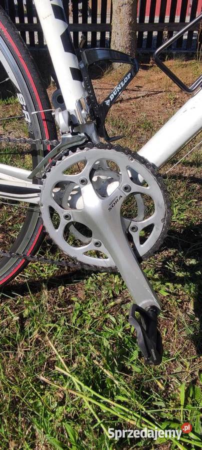 Rower szosowy Giant Defy kolarka szosówka podkarpackie Nowa Dęba