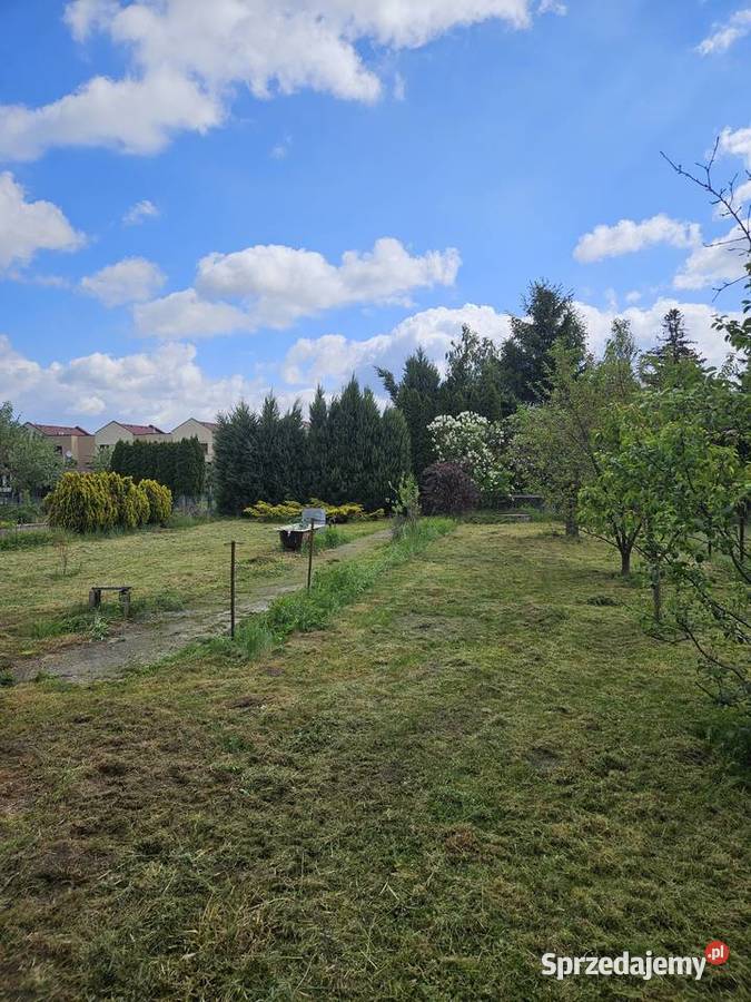 Działka rekreacyjna 410m Rod słonecznik Ostrów Wielkopolski