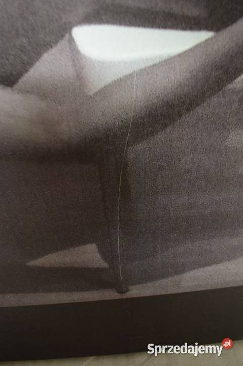 Akt kobiecy w fotografii reprodukcja z lat 90 Dekoracje i ozdoby Chełmno