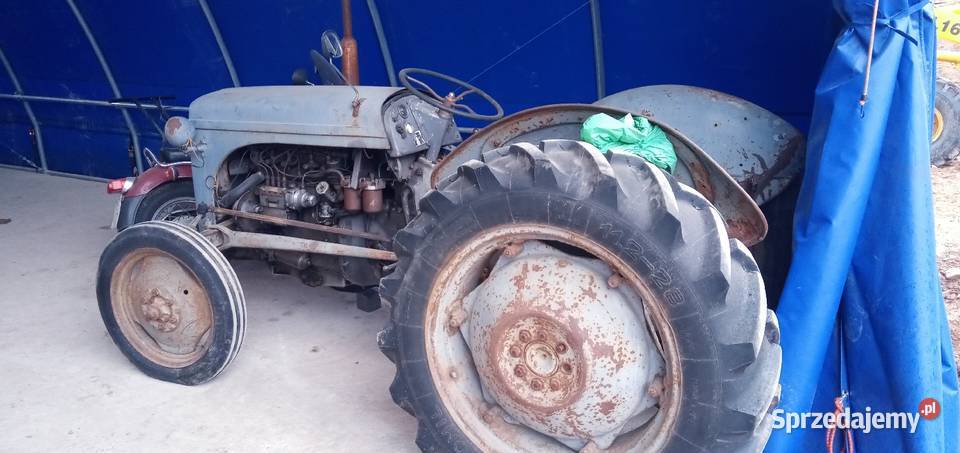 Massey ferguson Diesel Szołtany