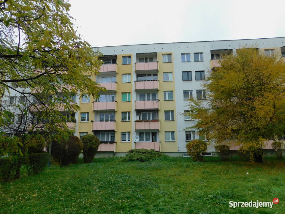 Syndyk sprzeda Radom PCK Liczba pokoi 3 Nieruchomości