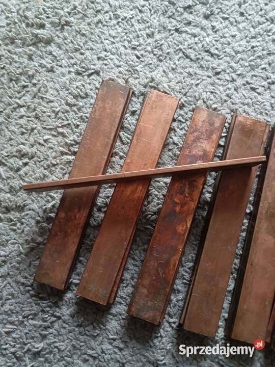 Plaskownik miedziany miedź Modliborzyce