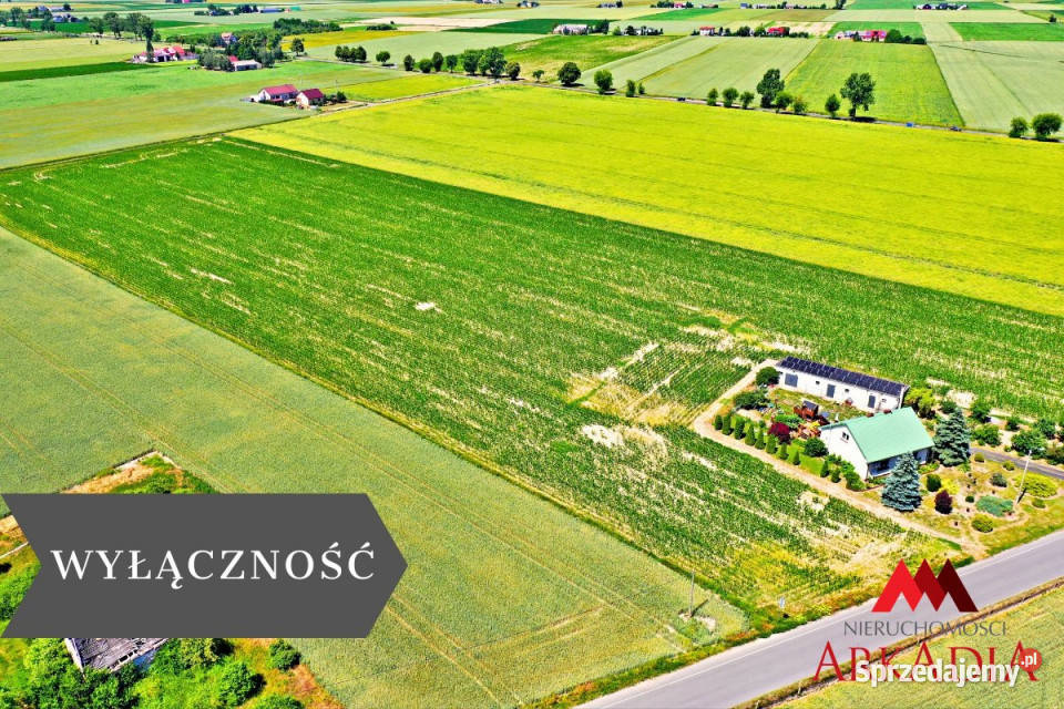 Działka Brzezie 6121m2 kujawsko-pomorskie