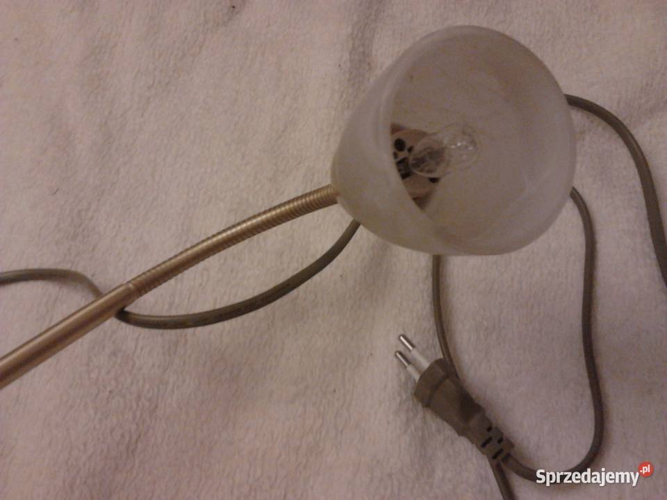 Lampa stołowa kolor złoty Paul Neuhaus lampka małopolskie Kraków