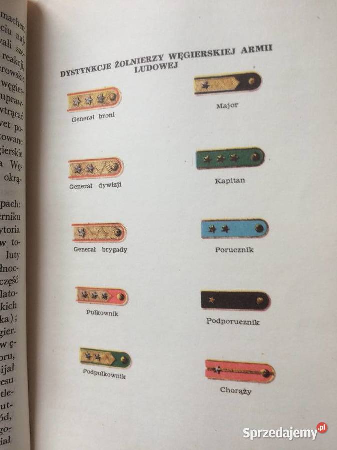 3257 Armie Ludowe Szczecin