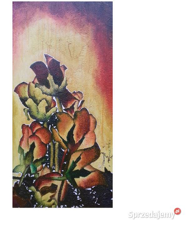 Archidiecezjalne Piwonie Jarosław sprzedam